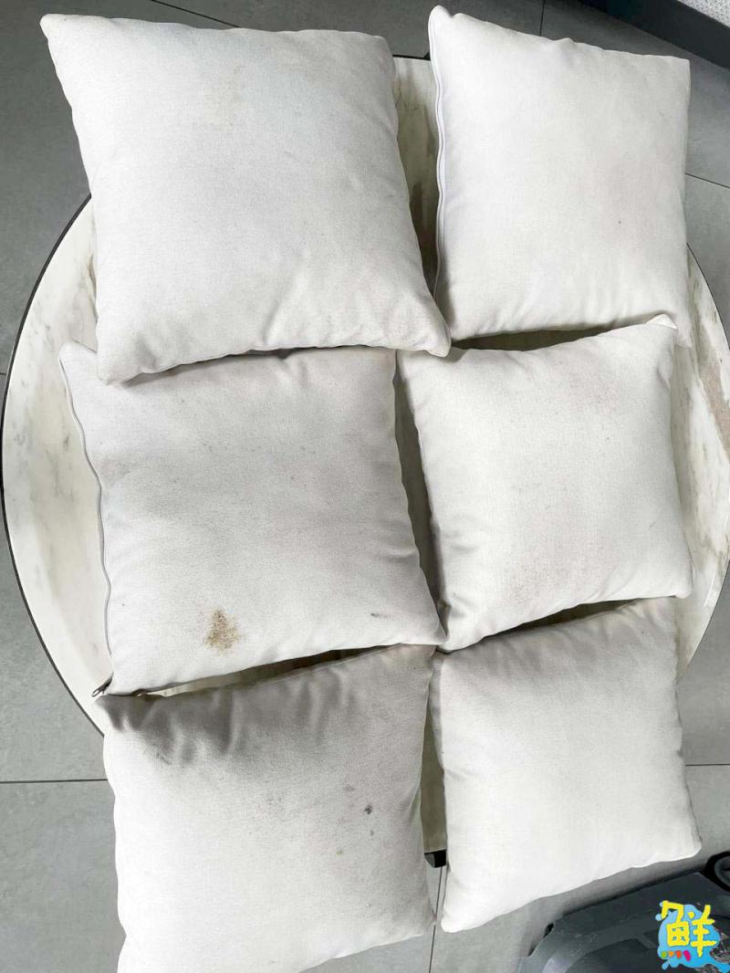 水洗床的專家 家新潔 專業床墊清潔 預約到府清潔幫您輕鬆遠離過敏人生