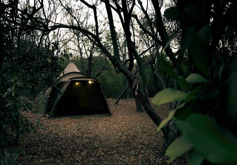 美術館OPEN CAMP 全都露限量60帳 10月14日中午12點早鳥預定