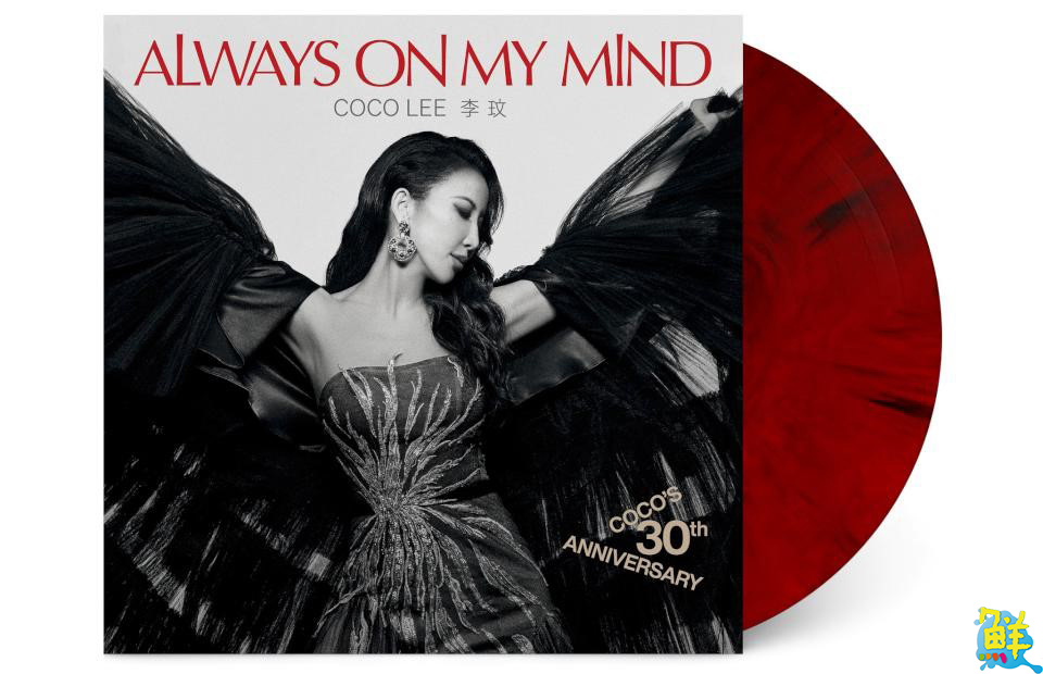 誠品生活松菸「不打烊黑膠市集」帶你領略黑膠的文藝復興潮流