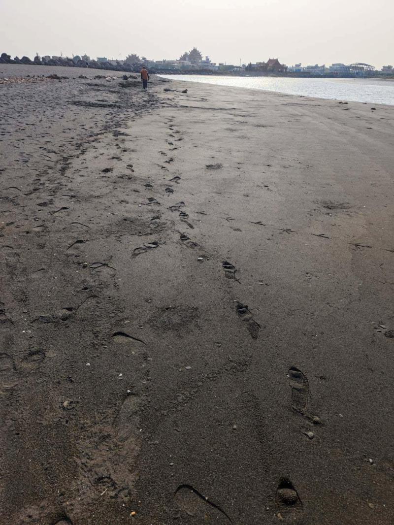 高雄林園汕尾漁港魚群暴斃聚出海口 海洋局攜手環保局清運210公斤