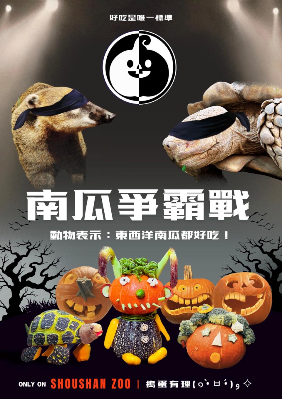 萬聖節南瓜爭霸戰 壽山動物園巧手為動物準備創意大餐