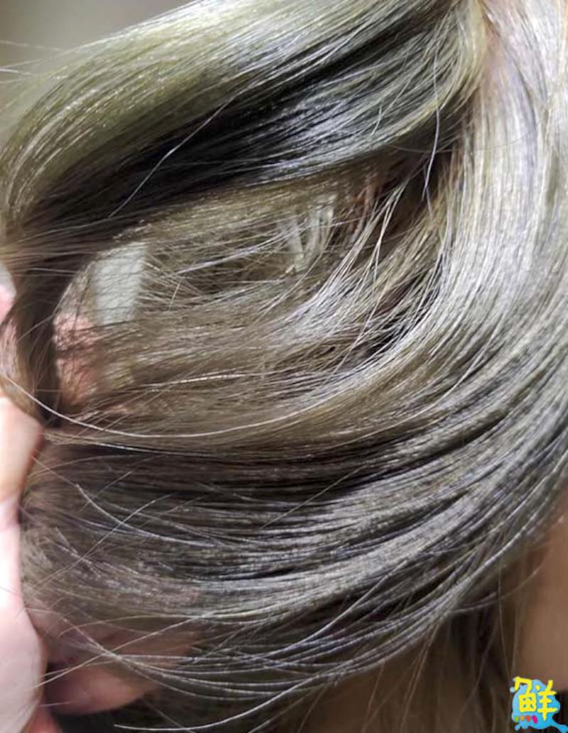 令人羨「慕」的髮「絲」之美 就在慕思髮藝!