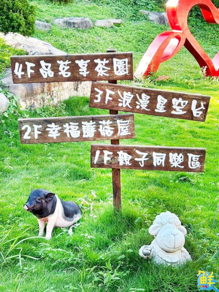 高雄告白約會首選聖地 無名咖啡 義大夜景浪漫指數爆表