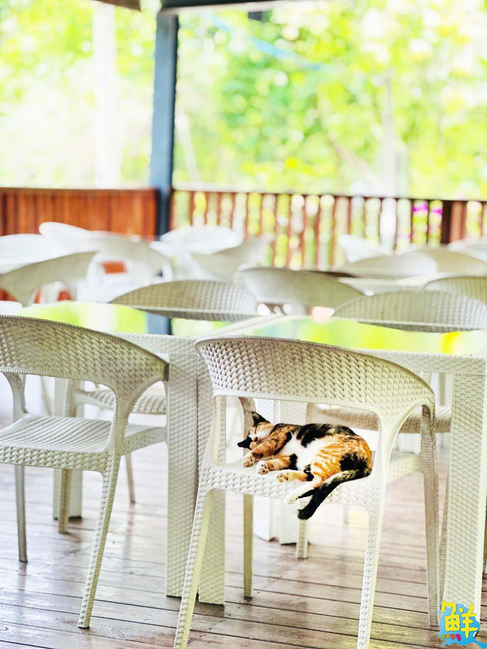 高雄告白約會首選聖地 無名咖啡 義大夜景浪漫指數爆表