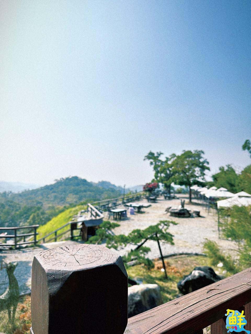 高雄告白約會首選聖地 無名咖啡 義大夜景浪漫指數爆表