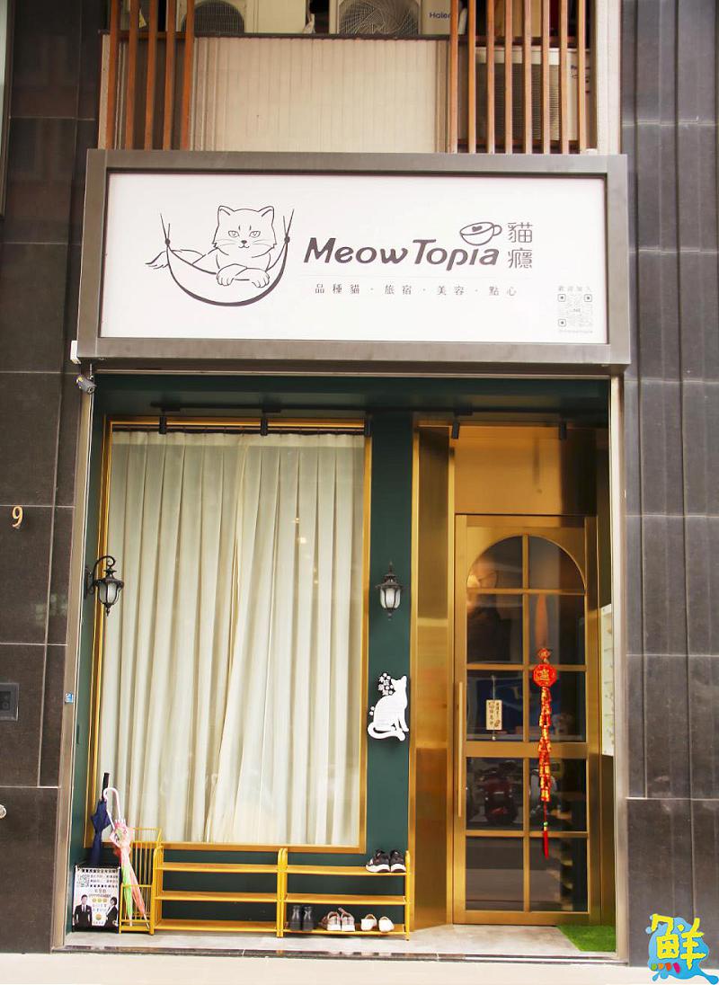 撸貓會上癮? 快來楠梓貓奴天堂 貓癮貓坊 超萌品種貓撸個過癮!