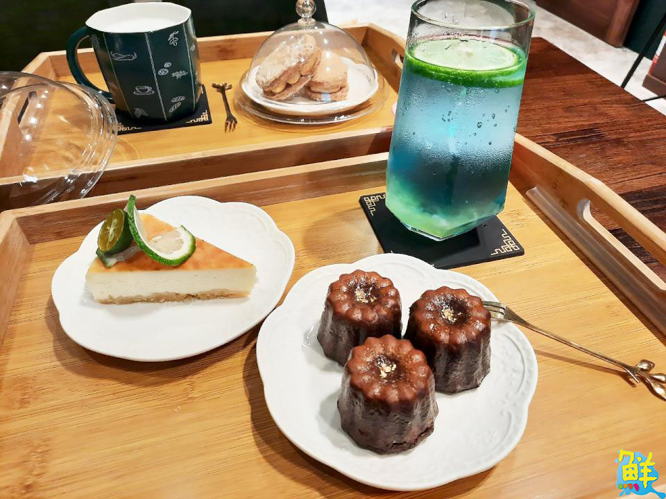 撸貓會上癮? 快來楠梓貓奴天堂 貓癮貓坊 超萌品種貓撸個過癮!