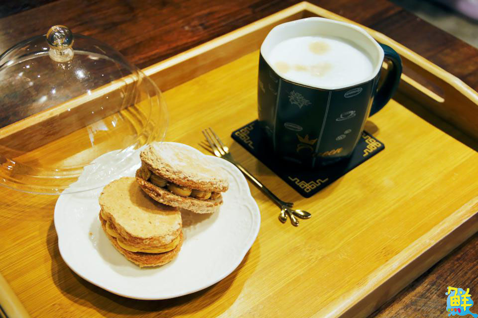 撸貓會上癮? 快來楠梓貓奴天堂 貓癮貓坊 超萌品種貓撸個過癮!