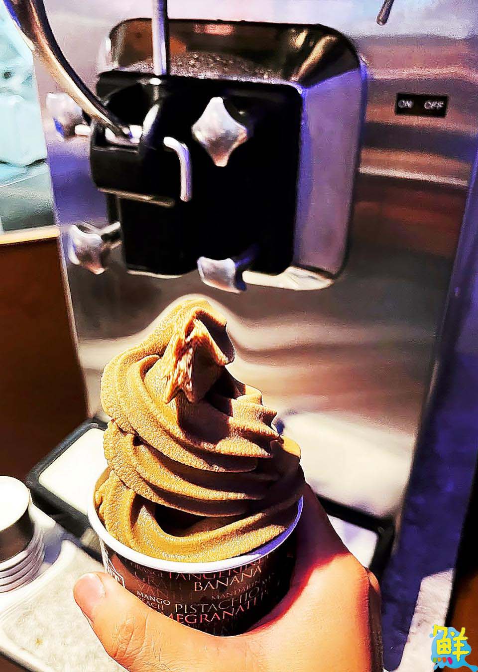 暖春養胃首選! 左營五星好評人氣火鍋 饌鍋物 活跳跳跑步蝦超吸睛