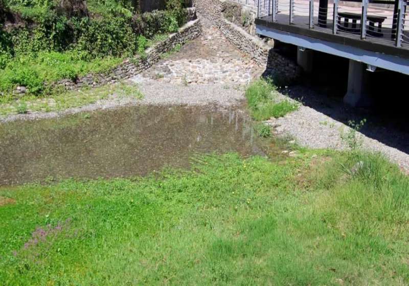 壽山旁新亮點！龍巖冽泉好好玩　生態工法讓四季皆有趣