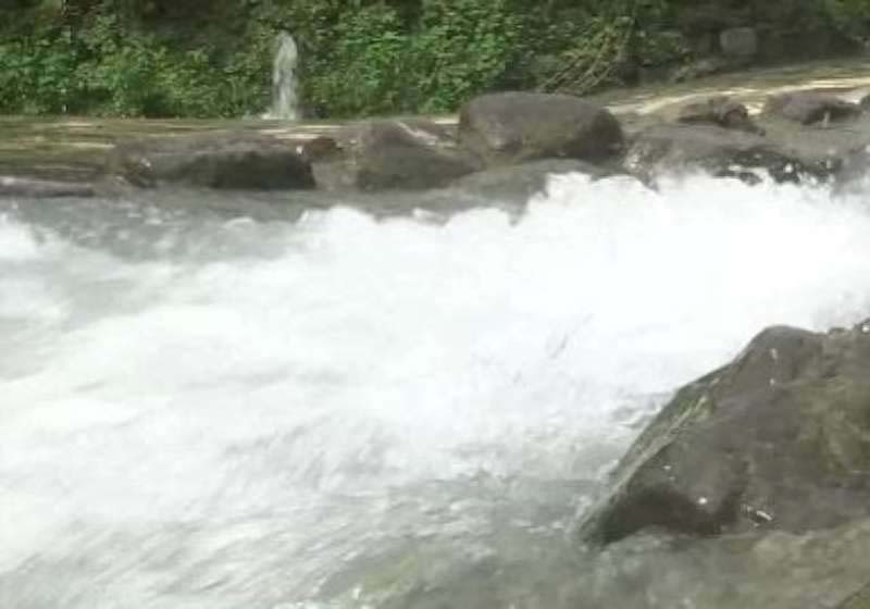 壽山旁新亮點！龍巖冽泉好好玩　生態工法讓四季皆有趣