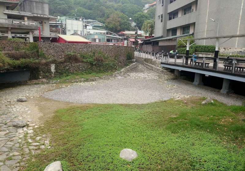 壽山旁新亮點！龍巖冽泉好好玩　生態工法讓四季皆有趣