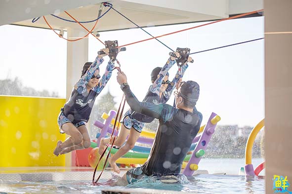 【第236期】 澄清湖生態迷宮花園 v.s 蓮池潭「童游藝境」親子館    為親子旅遊環境再加分