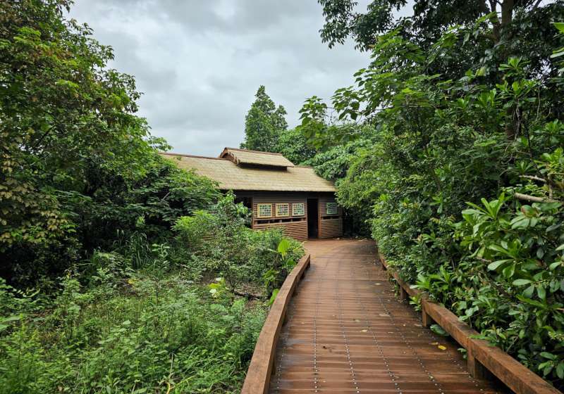 迎接世界動物日! 大高雄生態嘉年華周六登場 歡迎來鳥松濕地親身體驗