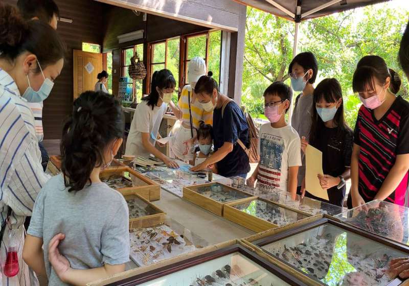 迎接世界動物日! 大高雄生態嘉年華周六登場 歡迎來鳥松濕地親身體驗