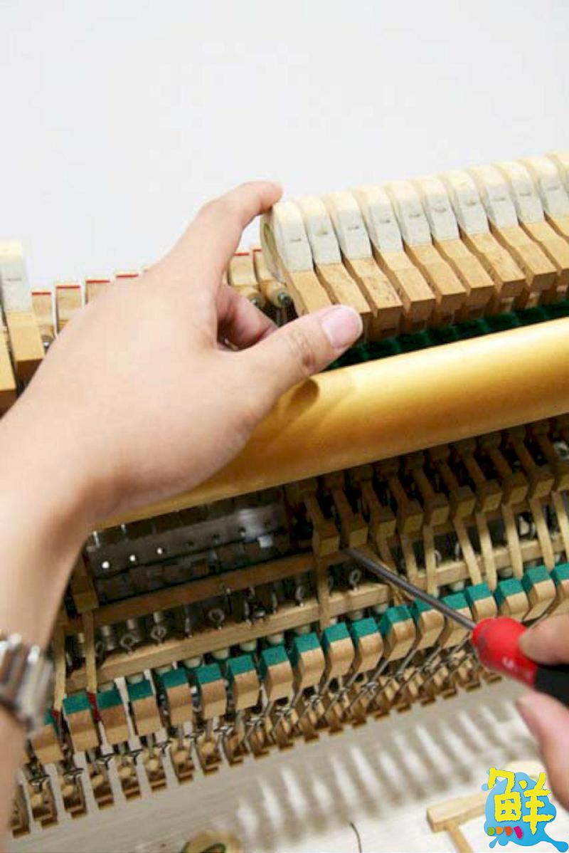 高雄在地口碑老字號! 學琴路上事半功倍的好幫手 世國琴行