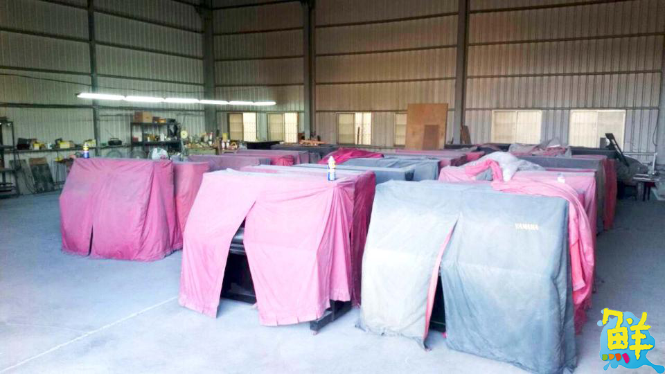 高雄在地口碑老字號! 學琴路上事半功倍的好幫手 世國琴行