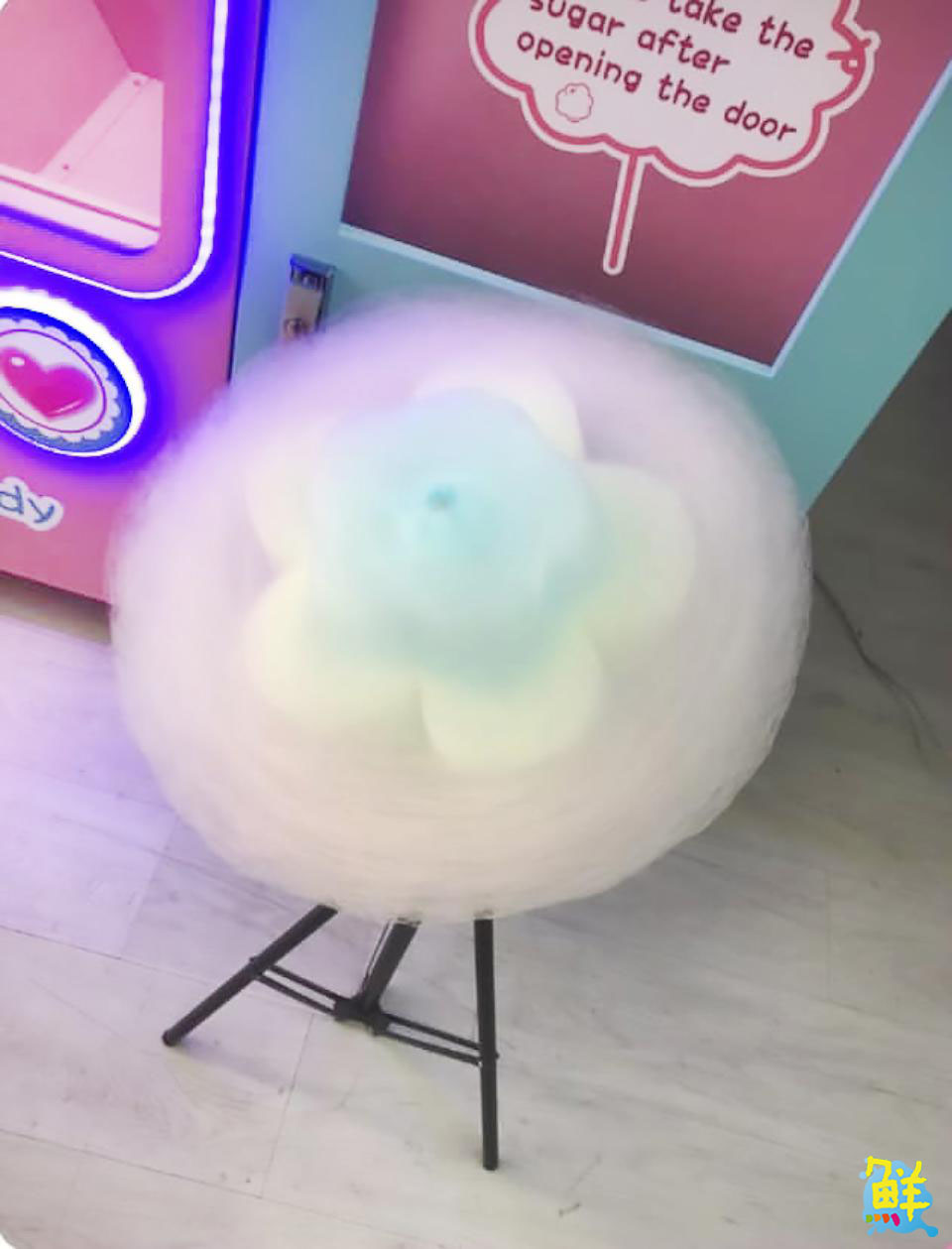 湯控強力推薦! 楠梓旗艦店鼎星經典火鍋 靈魂湯頭嚐過就上癮