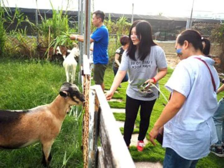農業局推薦走春休閒農場 親子體驗手作樂順嘗特色美食