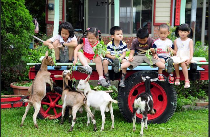 農業局推薦走春休閒農場 親子體驗手作樂順嘗特色美食