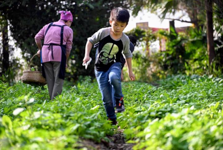 農業局推薦走春休閒農場 親子體驗手作樂順嘗特色美食