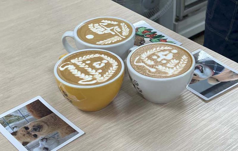 高餐大附中結盟印度綠洲學校 深化文化、教育、資訊共享交流互動