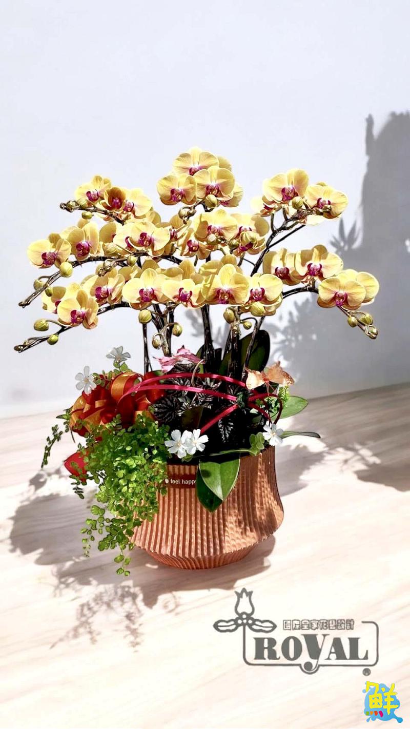 獻上那一份最美的祝福 國際皇家花藝 讓花說話 把溫柔留在生活裡