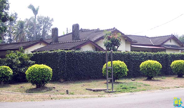 【第253期】探訪舊時光裡的新鮮事〈上〉─左營眷村行 眷村旅 眷村情