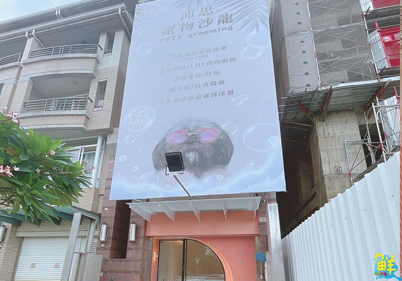 活潑有型 驚喜不斷 奧斯空間設計 打造毛孩天堂