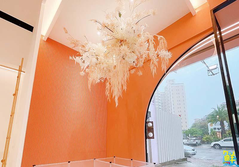 活潑有型 驚喜不斷 奧斯空間設計 打造毛孩天堂