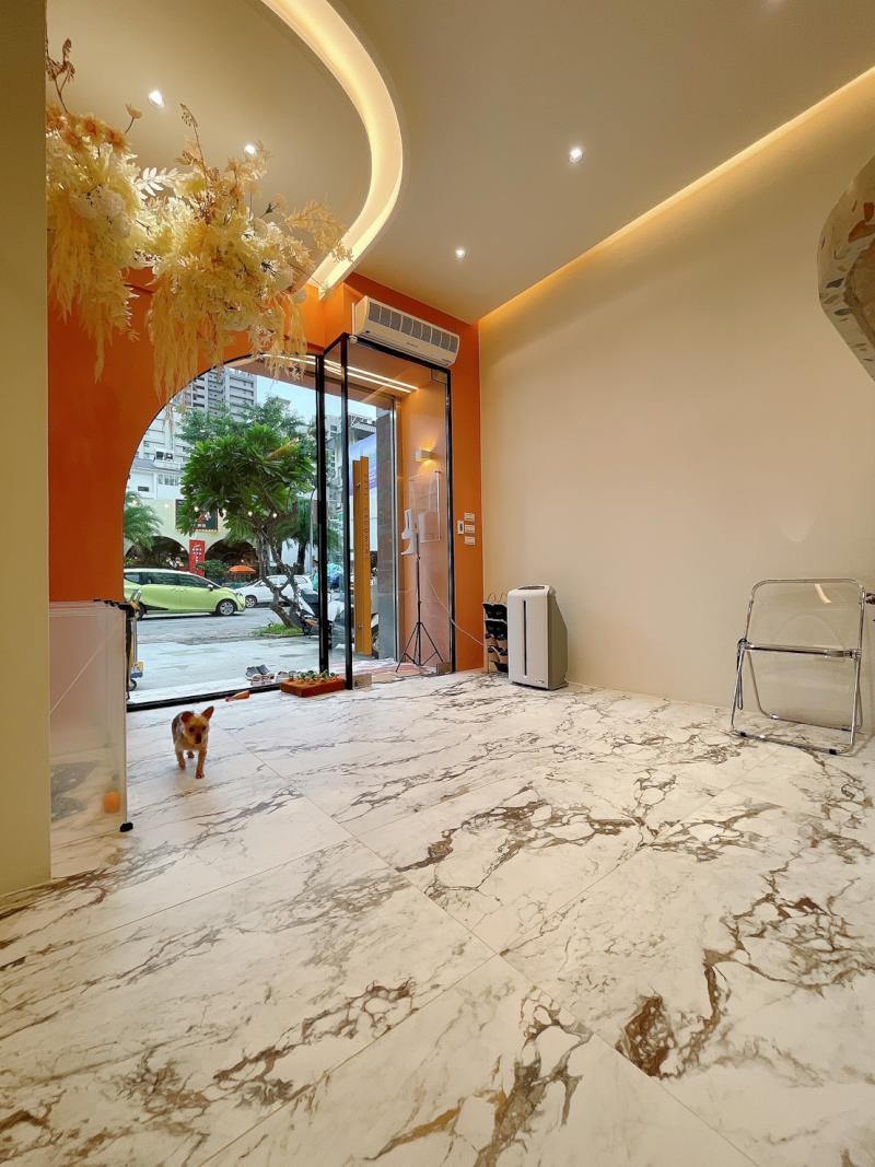 活潑有型 驚喜不斷 奧斯空間設計 打造毛孩天堂