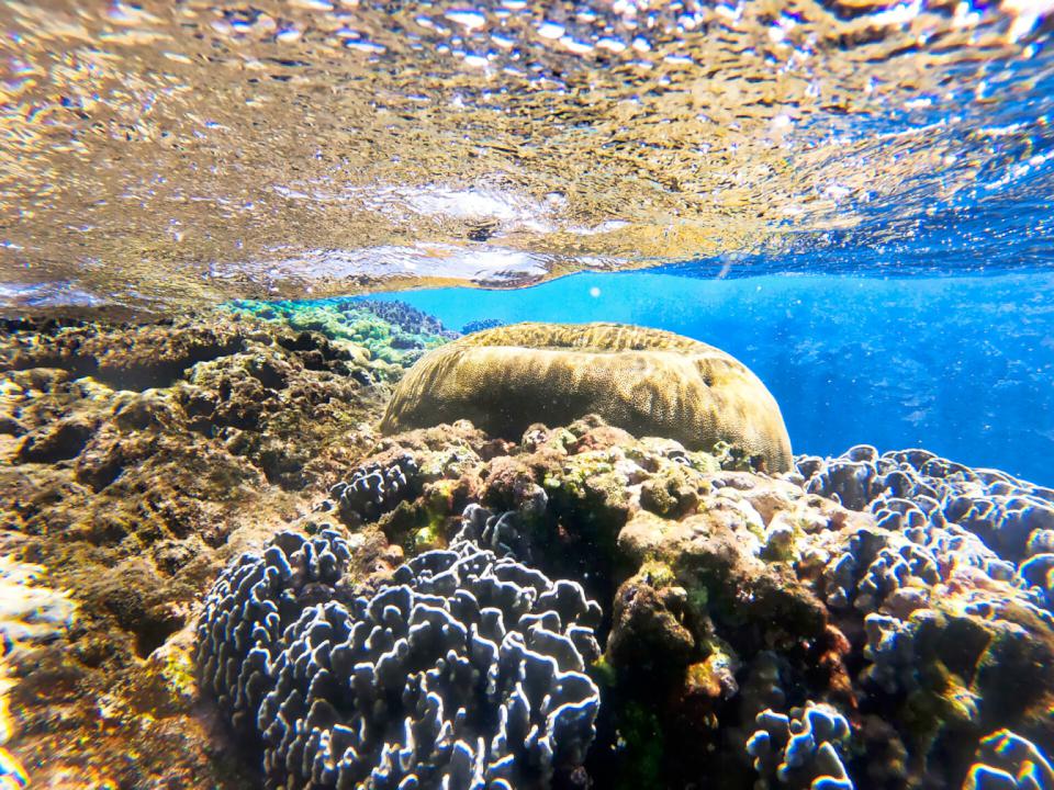 【第311期】離島旅遊特輯 暑假出遊看過來! 蘭嶼蘊含達悟文化與自然氣息的「人之島」