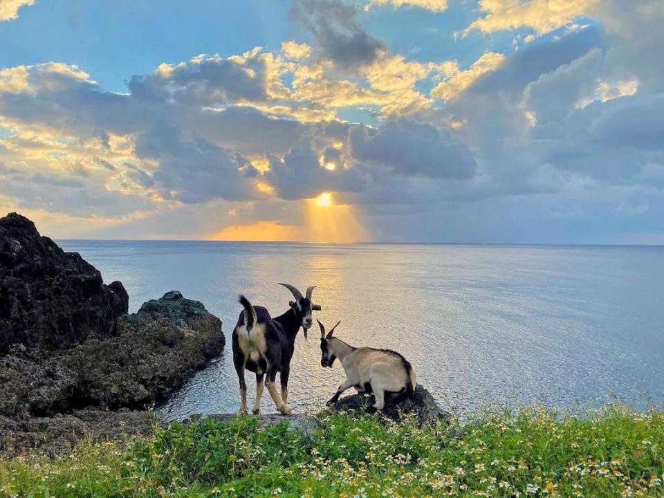 【第311期】離島旅遊特輯 暑假出遊看過來! 蘭嶼蘊含達悟文化與自然氣息的「人之島」