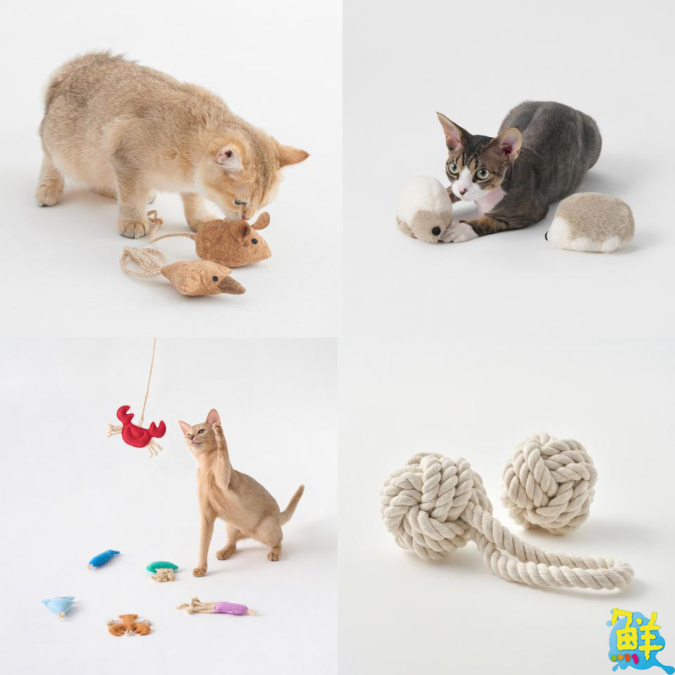 MUJI無印良品寵物用品新上市 讓毛孩也能擁有質感生活