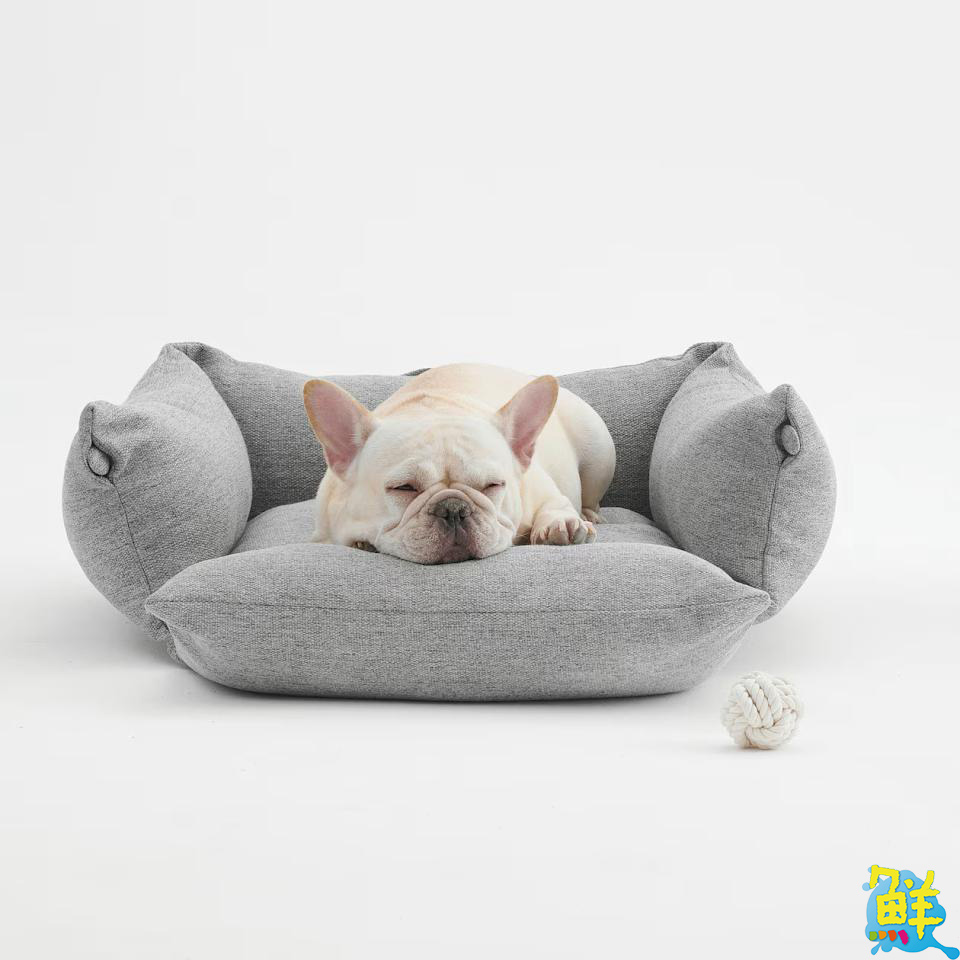 MUJI無印良品寵物用品新上市 讓毛孩也能擁有質感生活