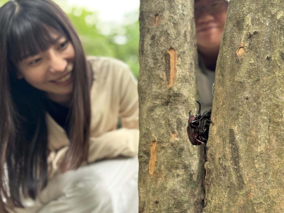 高市燕巢區烏山頂泥火山地景自然保留區獨甲仙現蹤 不干擾、不捕捉守護惡地生態