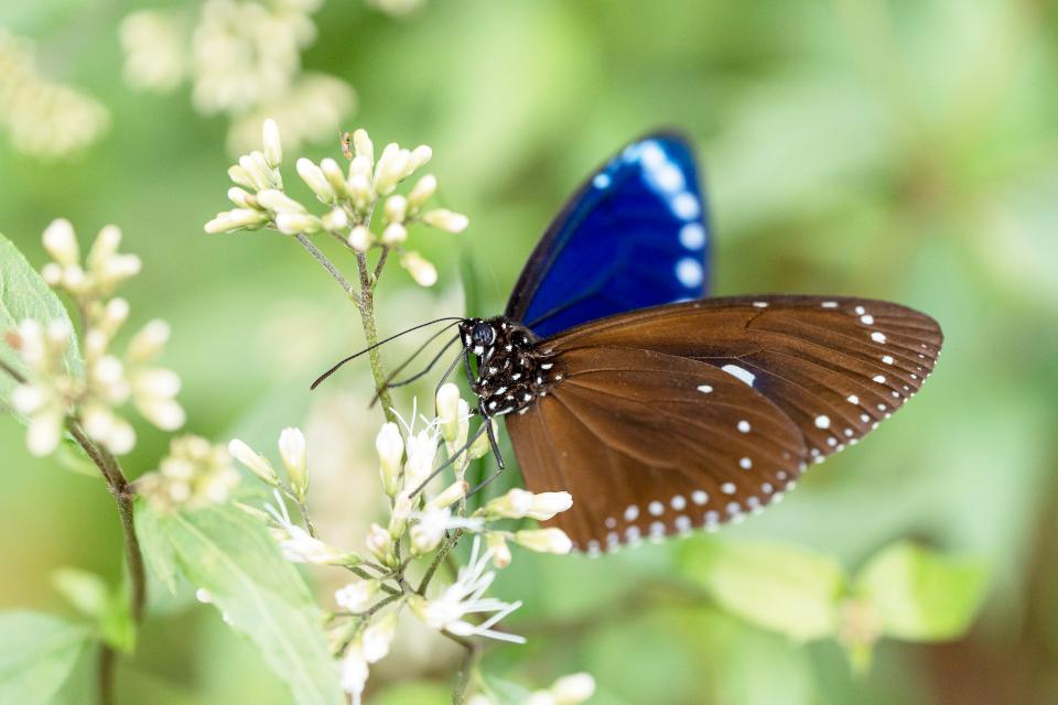 【第308期】沁涼一夏 「龜」去來兮! 5月限定 六龜山城水樂園 帶您體驗東高雄身心靈放鬆之旅