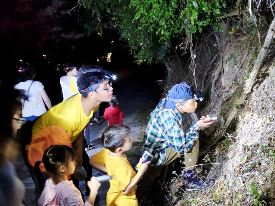 【第308期】沁涼一夏 「龜」去來兮! 5月限定 六龜山城水樂園 帶您體驗東高雄身心靈放鬆之旅