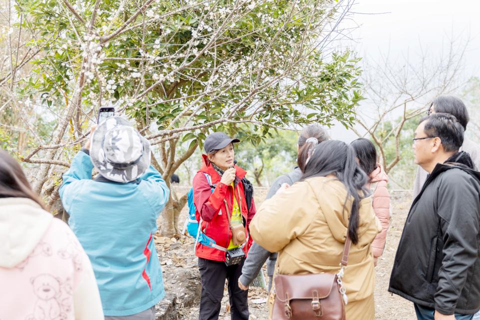 【第308期】沁涼一夏 「龜」去來兮! 5月限定 六龜山城水樂園 帶您體驗東高雄身心靈放鬆之旅