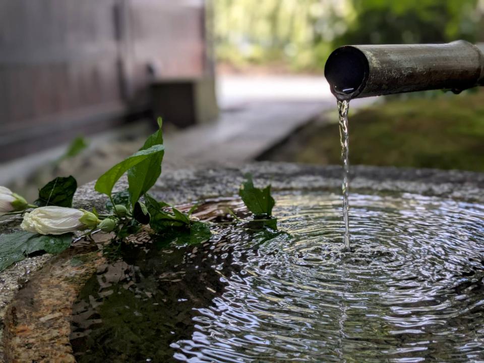 【日本生活旅遊】小田原停靠站：旅行裡的一頓美味