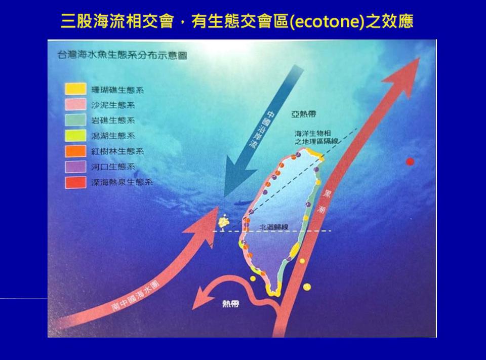 國海院出版《海洋探索》 邀學者邵廣昭、何宣慶專文回顧本土魚類歷史