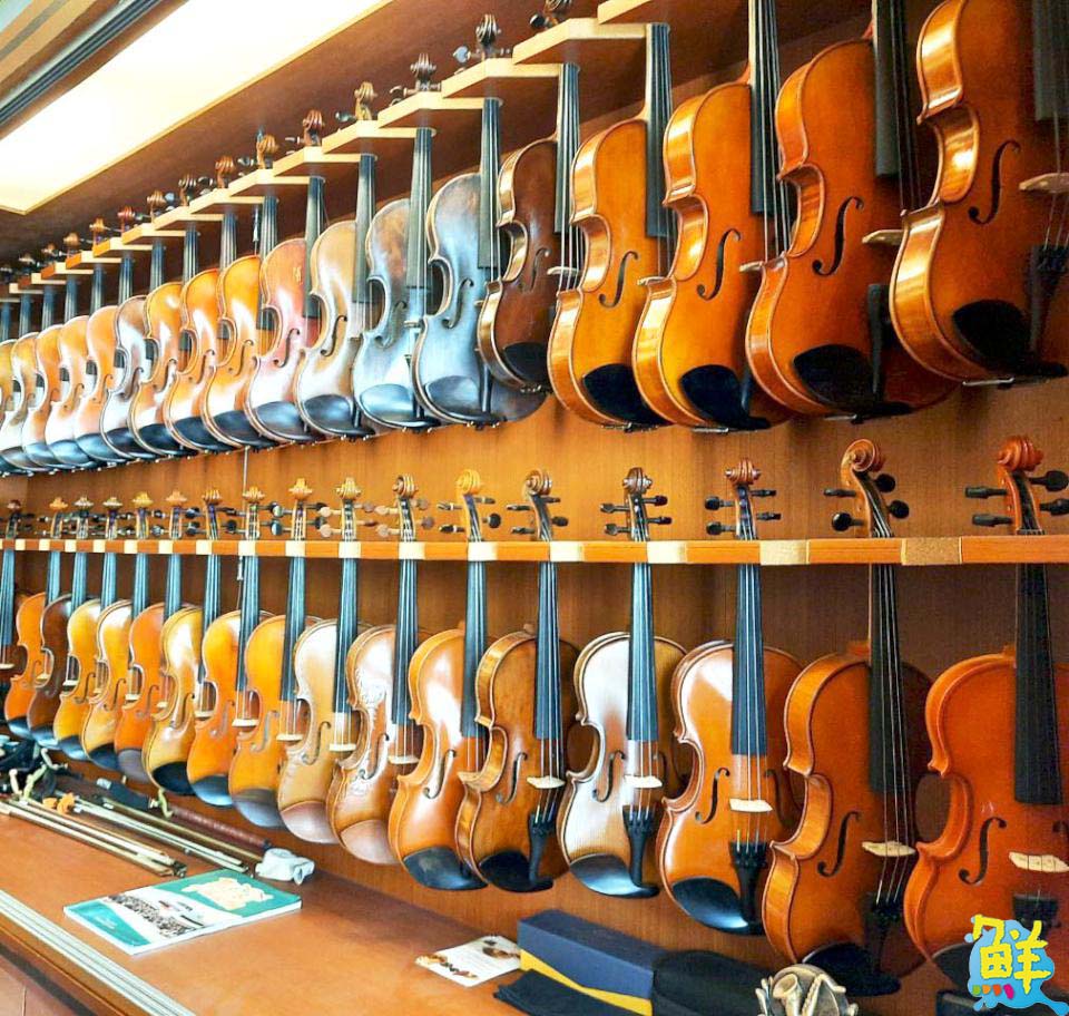 音樂路上的專業陪跑員 凱律樂器‧亞提音樂補習班