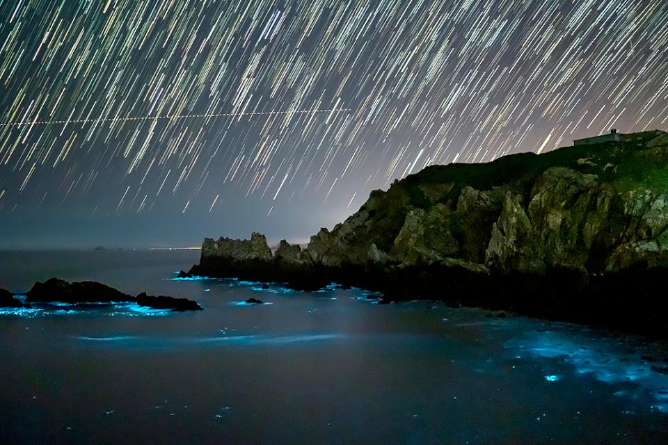 【第309期】「馬」上啟航!乘上6月高馬直飛航班 感受馬祖藍眼淚與戰地文化之美