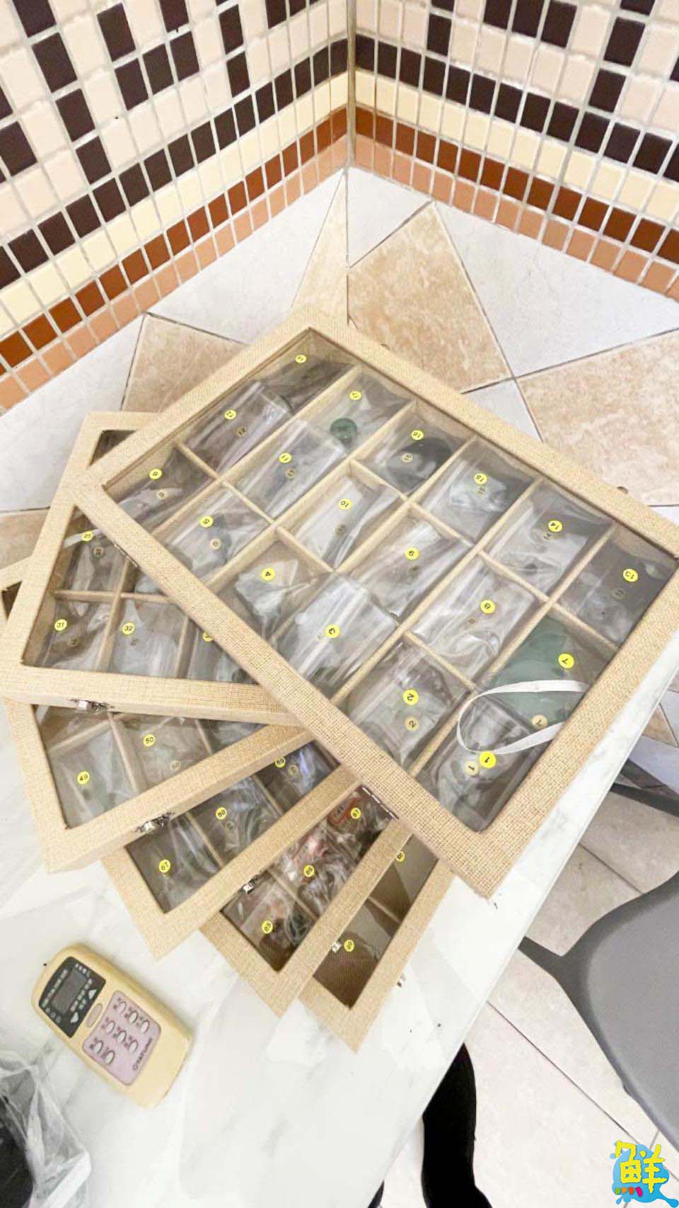 市場實務經驗最豐富講師陳龍博士 翡翠鑑定證照保證班 具台海兩岸翡翠鑑定師證照