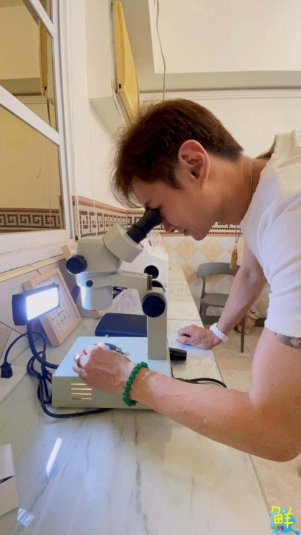 市場實務經驗最豐富講師陳龍博士 翡翠鑑定證照保證班 具台海兩岸翡翠鑑定師證照