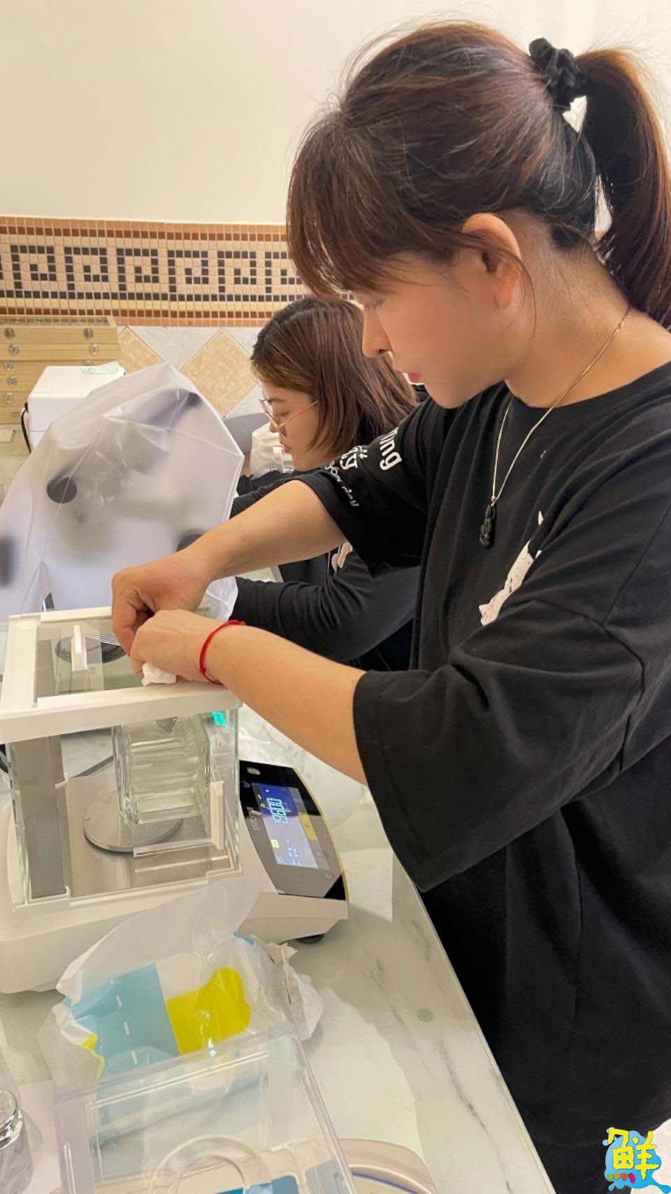 市場實務經驗最豐富講師陳龍博士 翡翠鑑定證照保證班 具台海兩岸翡翠鑑定師證照