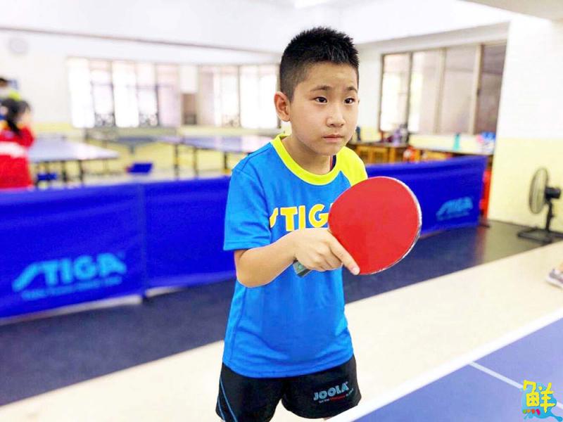 家長一致好評推薦!辰群乒乓 專業教學 乒出快樂 成就您的桌球夢