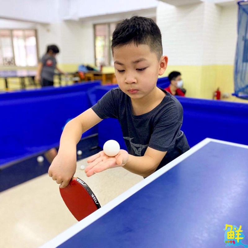 家長一致好評推薦!辰群乒乓 專業教學 乒出快樂 成就您的桌球夢