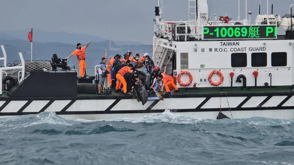 海保署114年野生動物擱淺救援網擴大聯繫會 提議花蓮建置暫收容場域