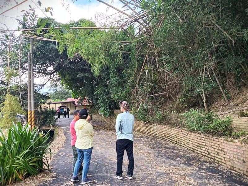 林保署旗山事業區259林地刺竹遇強風傾倒變路障 中央民代服務處會勘共商解決方案